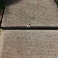 UnevenSidewalk